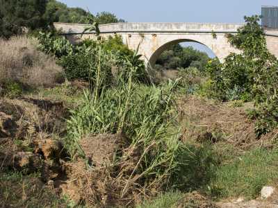 ...fin quando non arriviamo ai piedi del �Ponte Antico�.  Si tratta una struttura in pietra dorata che mette in collegamento i due costoni della lama: costruito nel 1882 � anche chiamato il �Ponte del Brigante�